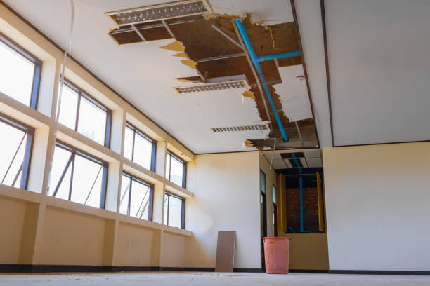 Best 24-hour water damage restoration  in Campbell, FL