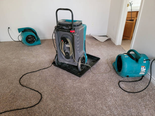 Best Water damage cleanup near me  in Campbell, FL