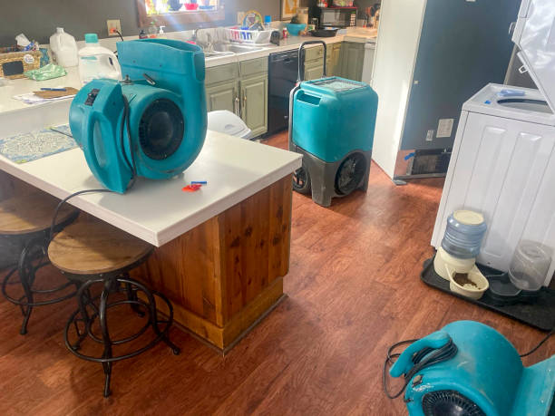 Best Water damage restoration near me  in Campbell, FL