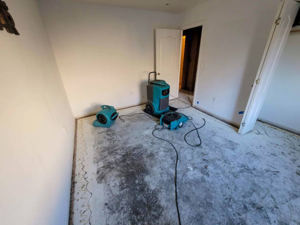 Best Water damage restoration specialists  in Campbell, FL