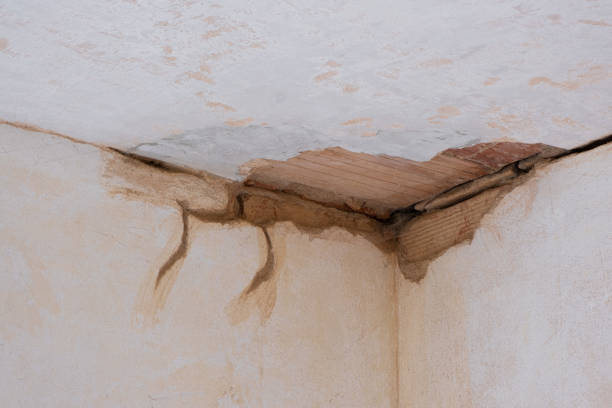 Best 24/7 water damage repair  in Campbell, FL
