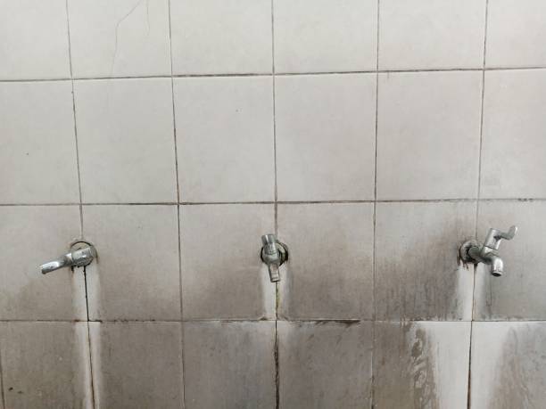 Best Basement water damage restoration  in Campbell, FL