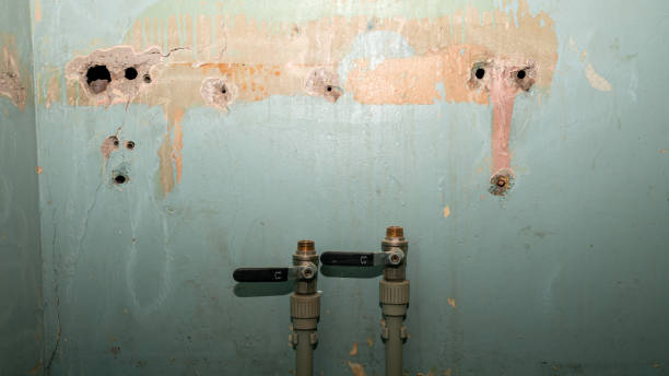 Best Carpet water damage restoration  in Campbell, FL