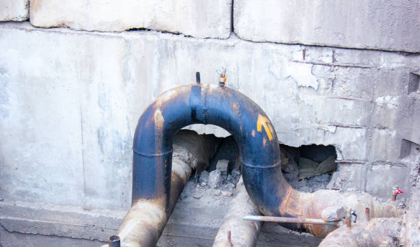 Best Professional water damage repair  in Campbell, FL