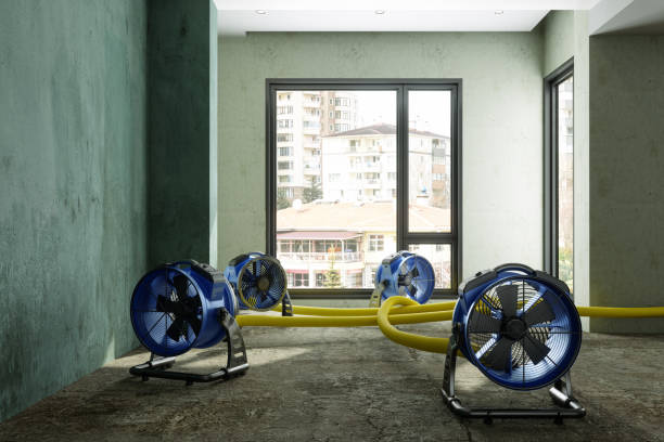 Best 24-hour water damage restoration  in Campbell, FL