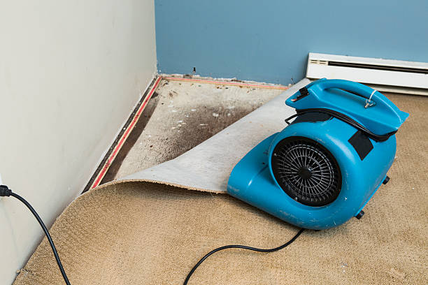 Best Emergency water damage restoration  in Campbell, FL
